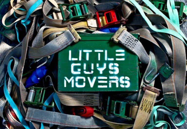 little guys movers norman 768x530