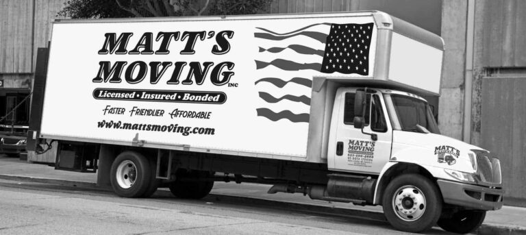 bw 768x343