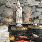 Koi pond service and construction orange county ca 150x150