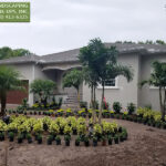 Landscaping New Construction Home Tampa 150x150