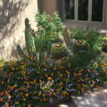 hawkeye landscaping img3 150x150