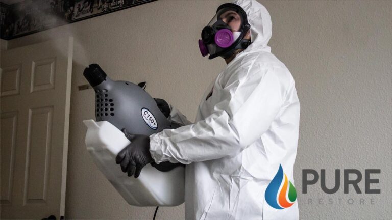 mold restoration services P3 Pure Restore 768x432