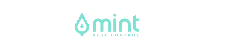 Mint Logo Mint@4x 768x173