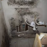 mold remediation in chicago 150x150