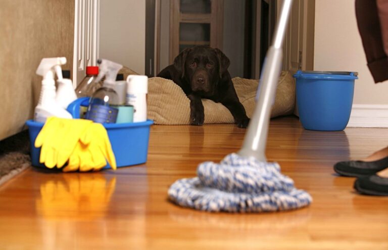 weekly maid service 1200x773 1 1 768x495