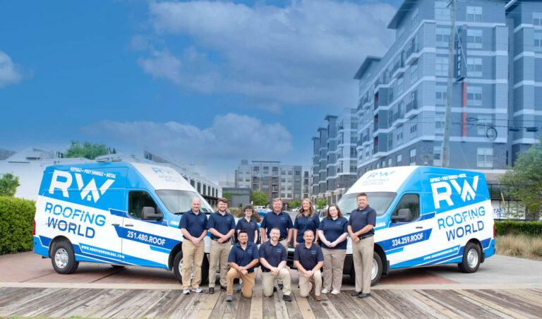 Whole team 1 3 1 768x452