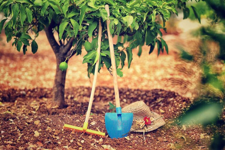 landscapers in Central FL Highland Grove Landscaping Farm 768x512