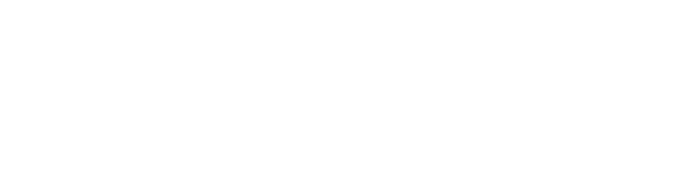 dominion logo white 1 1 768x200