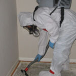 mold removal Louisville KY 150x150