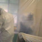 mold removal Louisville Kentucky 150x150