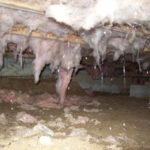 waterproofing companies louisville ky 150x150