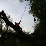 Fort Lauderdale Tree Service Emergency Tree Removal Service 1920w 150x150