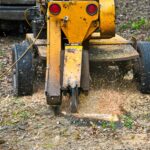 Fort Lauderdale Tree Service Stump Grinding Dania Beach 1920w 150x150