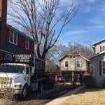 careful tree trimming 150x150