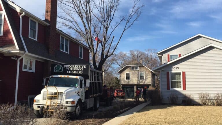 careful tree trimming 768x432