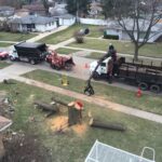 emergency tree removal 150x150