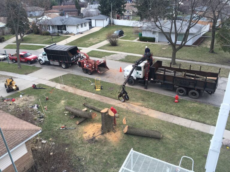 emergency tree removal 768x576