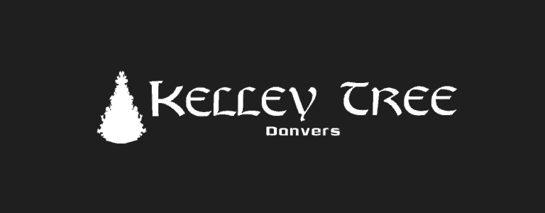 kellyy logo 1 768x300