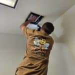 Bee Thumb Electric 2 150x150