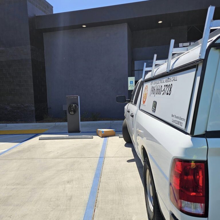 Bee Thumb Electric truck 2 768x768