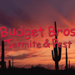 Budget Pic 150x150