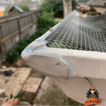 Gutter Maintenance for Unrestricted Flag Display 150x150