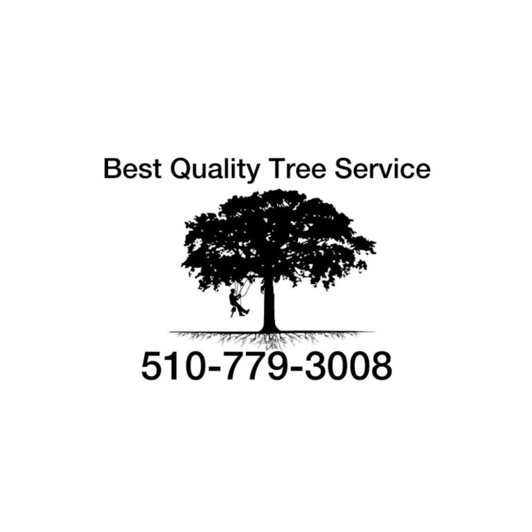 Logo Sq 2 1 768x768