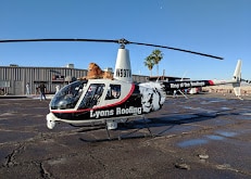Lyons