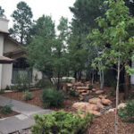 Mountainscapers Pic1 150x150