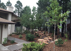 Mountainscapers Pic1