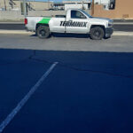 Terminix Pic3 150x150