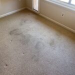a spotless house carpet and tile cleaning chandler 3 a spotless house carpet and tile cleaning chandler 3