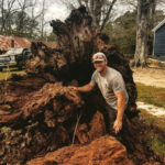 elite tree care services 150x150