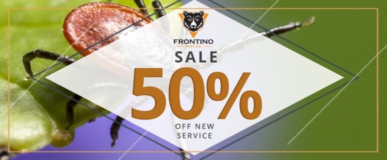 frontino pest control phoenix frontino pest control phoenix