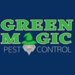 green magic pest control chandler green magic pest control chandler