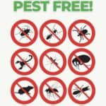 green magic pest control chandler green magic pest control chandler