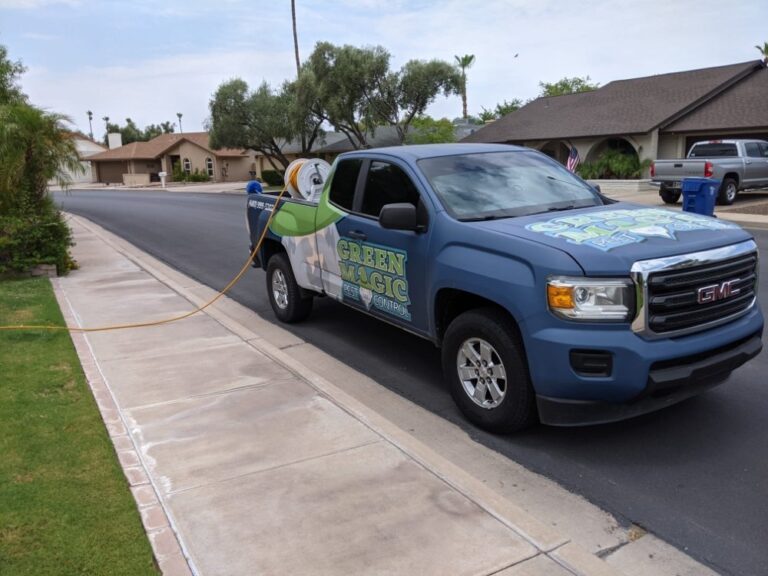 green magic pest control chandler green magic pest control chandler