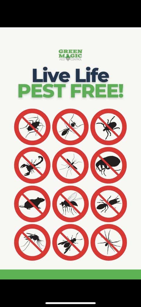 green magic pest control chandler green magic pest control chandler