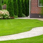 lawn grass near me 150x150