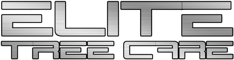 logo 10 768x198