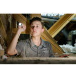 pest control near me Pelican Pest Control 1 150x150