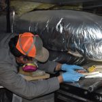 rat crawlspace trap 1 700x441 1 150x150