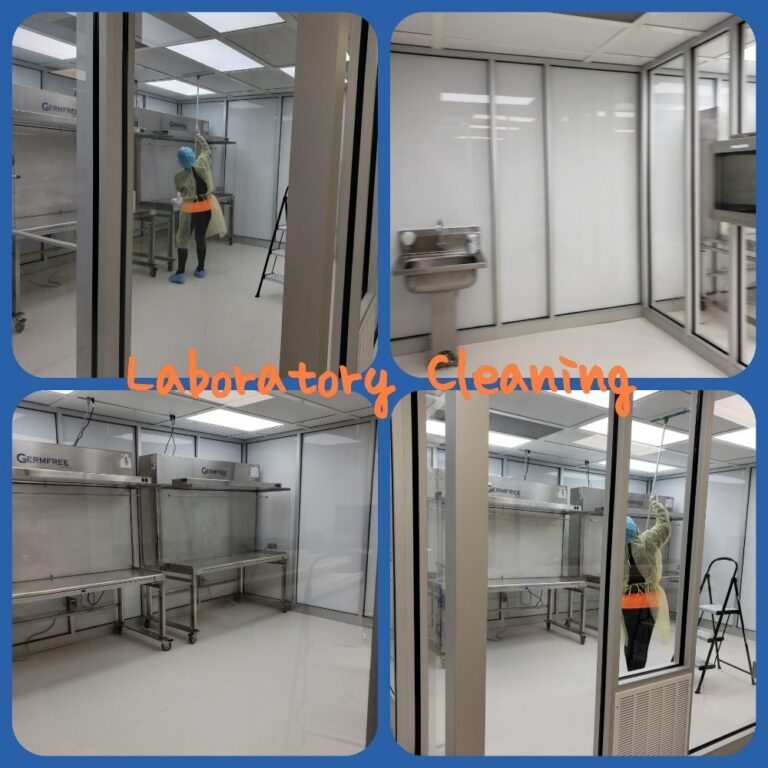 reasonable cleaning services carrollton