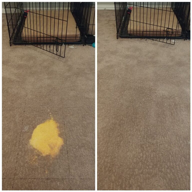 texas carpet repair plano 2