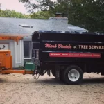 tree service east hampton ny 2 150x150