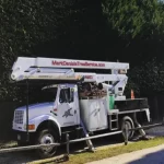 tree service southampton ny 1 150x150