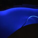 westmoreland pool service and repair gilbert westmoreland pool service and repair gilbert